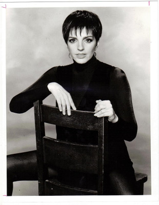 photo 15 in Liza Minnelli gallery [id312274] 2010-11-11 00:00:00