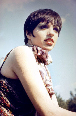photo 27 in Minnelli gallery [id138560] 2009-03-04 00:00:00