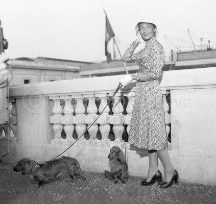 Luise Rainer pic #332431