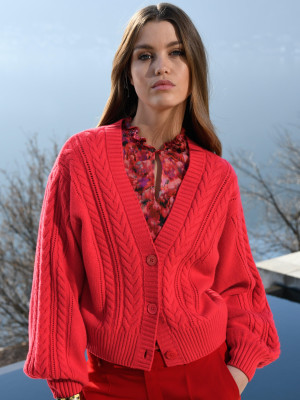 Luna Bijl - Peter Hahn Fall 2021