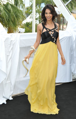 photo 22 in Mallika Sherawat gallery [id332476] 2010-12-28 00:00:00