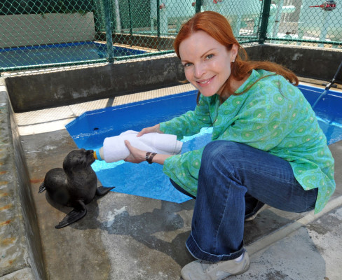 Marcia Cross pic #551690