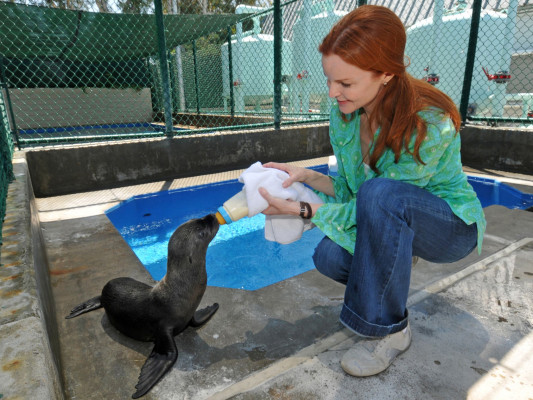 Marcia Cross pic #551691