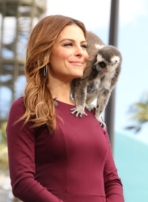 Maria Menounos pic #717533