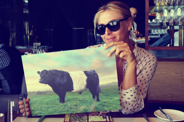Maria Sharapova pic #607636