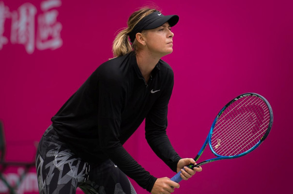 photo 8 in Sharapova gallery [id1002697] 2017-10-12 00:00:00