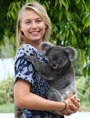 Maria Sharapova pic #785007