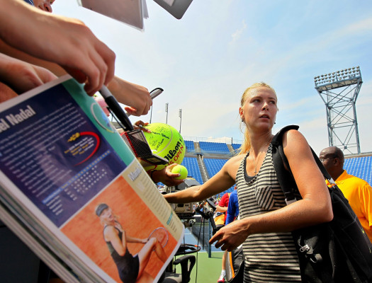 Maria Sharapova pic #553659