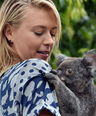 Maria Sharapova pic #785009