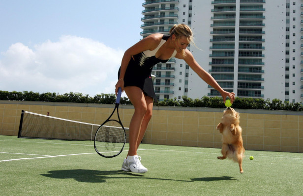 Maria Sharapova pic #361009