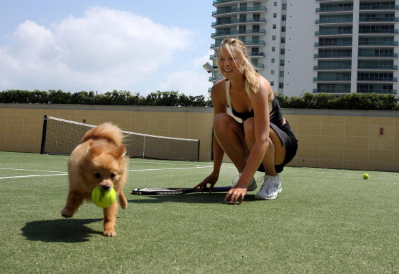 Maria Sharapova pic #361006