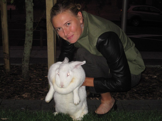 Maria Sharapova pic #348887