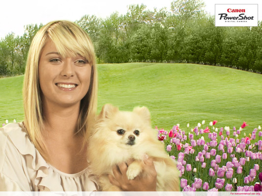Maria Sharapova pic #244029