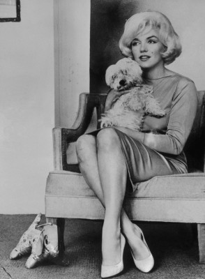 photo 16 in Marilyn Monroe gallery [id268531] 2010-06-02 00:00:00