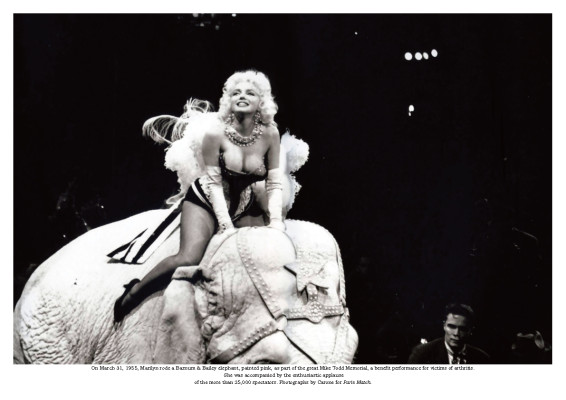 photo 28 in Marilyn Monroe gallery [id257694] 2010-04-21 00:00:00