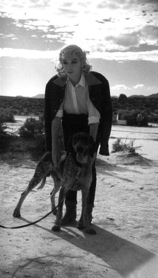 photo 9 in Marilyn Monroe gallery [id483832] 2012-03-22 00:00:00
