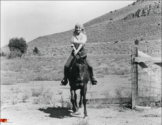 Marilyn Monroe pic #746892