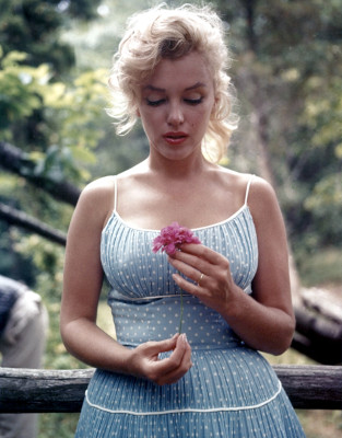 photo 26 in Marilyn Monroe gallery [id381416] 2011-04-06 00:00:00