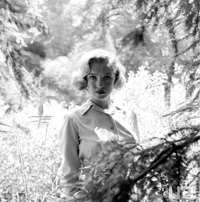 photo 11 in Marilyn Monroe gallery [id380428] 2011-04-04 00:00:00