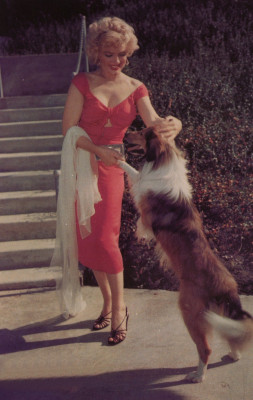photo 8 in Marilyn Monroe gallery [id513854] 2012-05-21 00:00:00