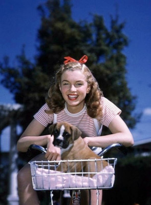 Marilyn Monroe pic #1206865