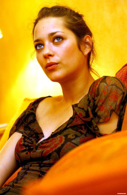 Marion Cotillard pic #387449
