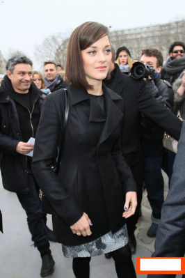 Marion Cotillard pic #619200
