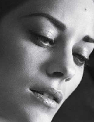 Marion Cotillard pic #281555