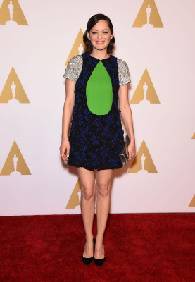 Marion Cotillard pic #790005