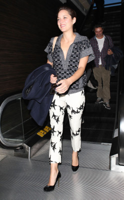 Marion Cotillard pic #575536