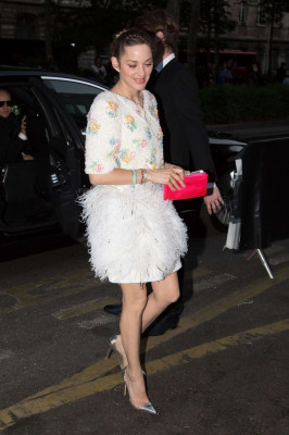 Marion Cotillard pic #1193836