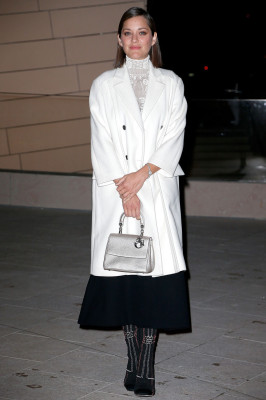 Marion Cotillard pic #767998