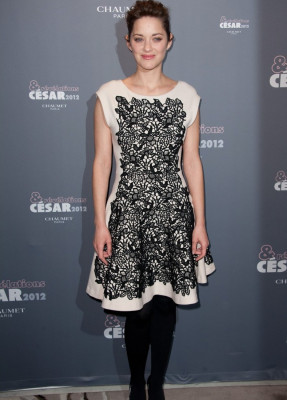 Marion Cotillard pic #455319