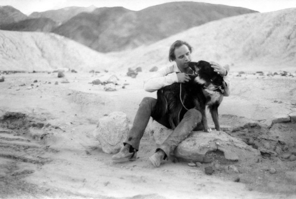 photo 6 in Marlon Brando gallery [id486291] 2012-03-28 00:00:00