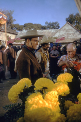 Marlon Brando pic #489305