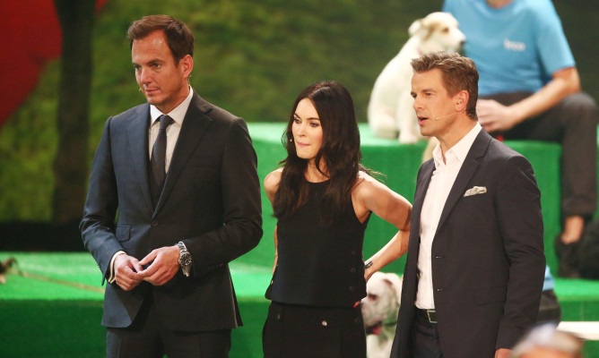 photo 8 in Megan Fox gallery [id840749] 2015-10-27 00:00:00