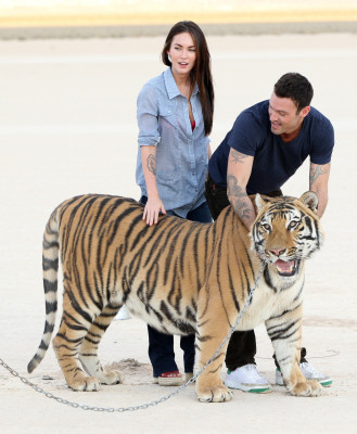 Megan Fox pic #463535