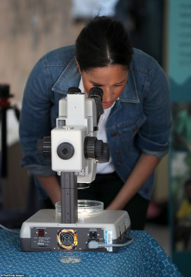 Meghan Markle pic #1221740