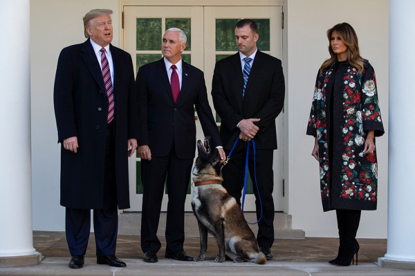 Melania Trump pic #1238880