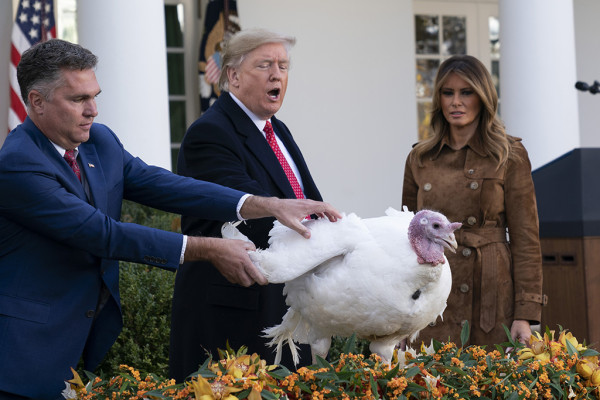 Melania Trump pic #1238876