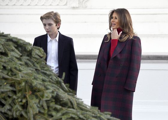 photo 27 in Melania Trump gallery [id1014915] 2017-11-23 00:00:00