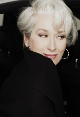 photo 3 in Meryl Streep gallery [id180247] 2009-07-30 00:00:00