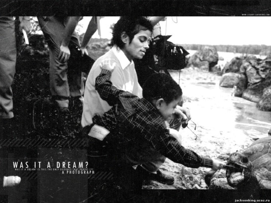 Michael Jackson pic #177627