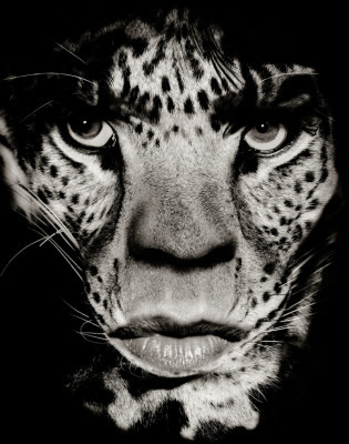 photo 3 in Mick Jagger gallery [id282641] 2010-08-03 00:00:00