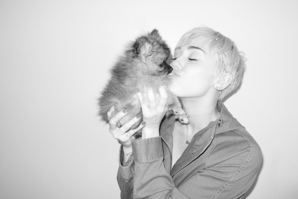 Miley Cyrus pic #748435
