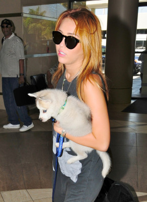 Miley Cyrus pic #411978