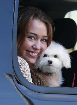 Miley Cyrus pic #164054