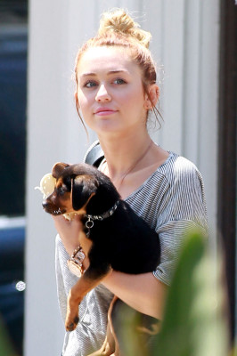 Miley Cyrus pic #511376