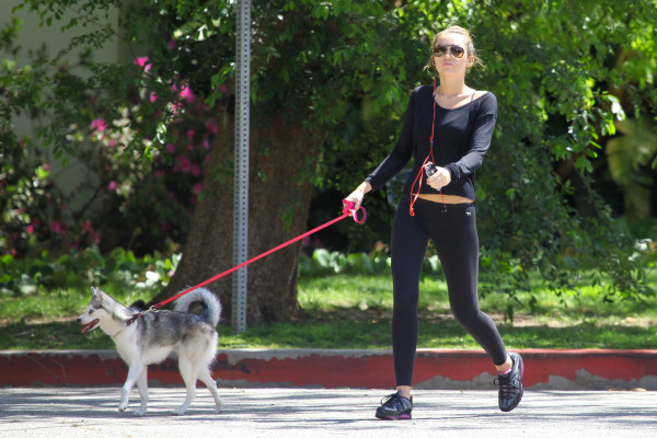 Miley Cyrus pic #492301