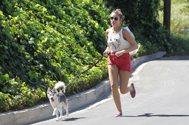 Miley Cyrus pic #476513